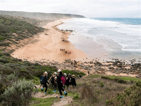 coastrek adelaide|Coastrek Fleurieu Peninsula .